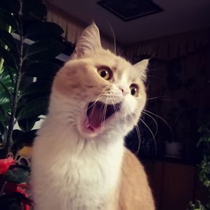 瓜老师的笔记亲妹妹想法
